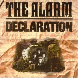 Пластинка Alarm Declaration